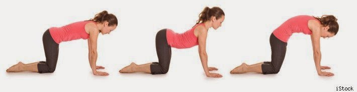 Exercises to Release Gas From Stomach Camel Cat Stretch