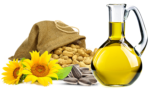 How to Prevent Heart Diseases Naturally Vegetable Oils