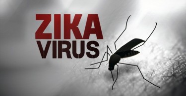 Zika virus Found in US