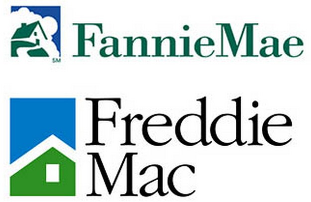 Understanding the GSEs Fannie Mae and Freddie Mac