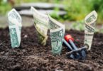 Best Ways to Keep the Cost of Personal Healthcare Down To the Minimum
