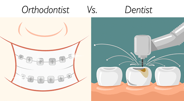 Dentist vs Orthodontist