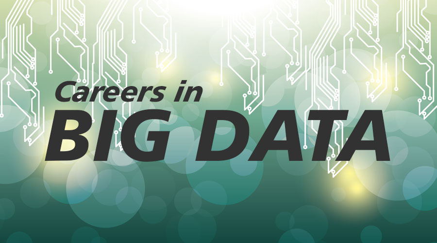 Going big on a Big Data career