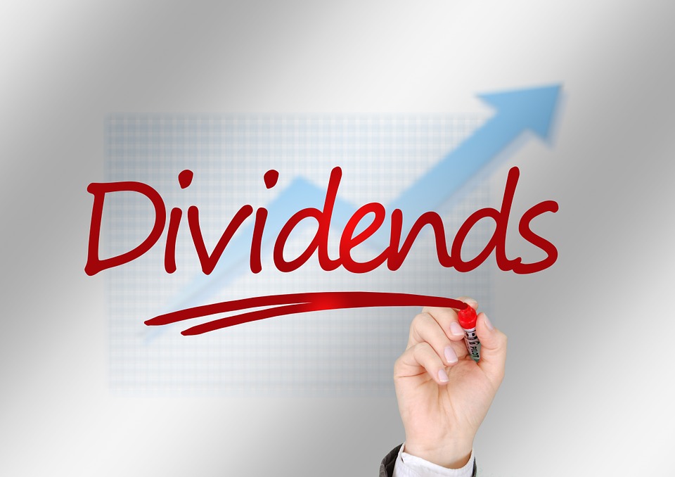 What Are the Types of Dividend Stocks That You Can Buy?