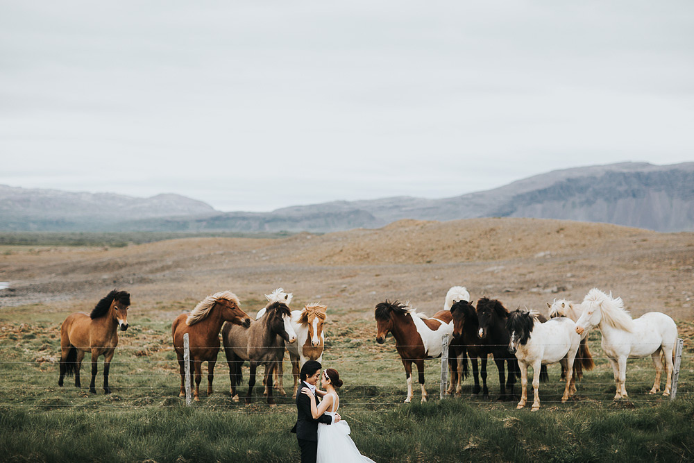 Pre wedding Photoshoot at Iceland ranch