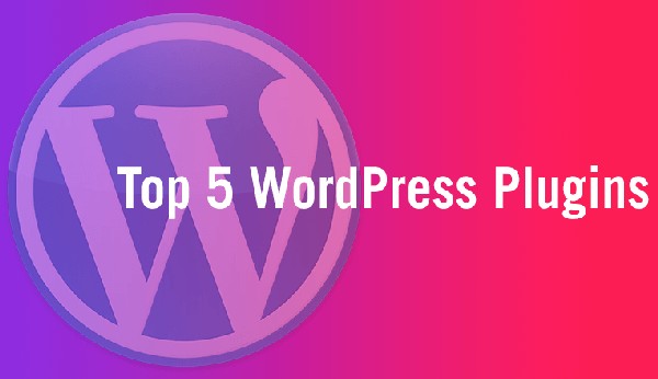 Top 5 WordPress Plugins that are essential for professional websites