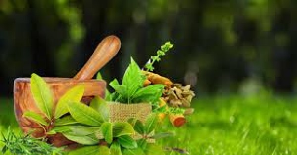 Ayurveda Training - Ayurveda benefits for immune system