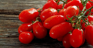 Everything You Need To Know About San Marzano Tomatoes