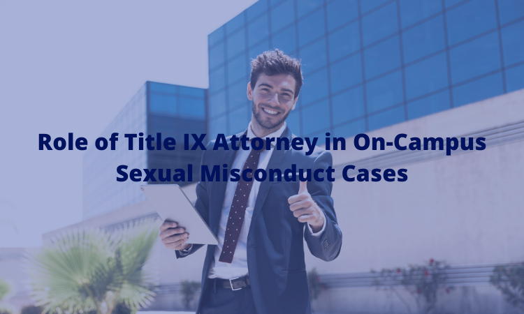 title ix attorney