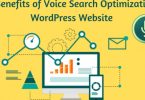 voice search optimization