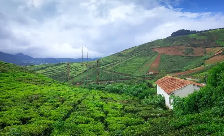 Coorg, A Little Tranquil Hill Station