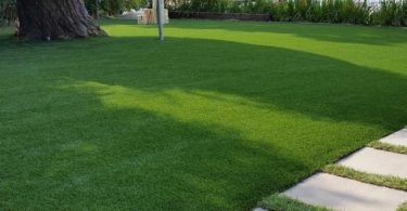 Some Amazing Applications of Fake Grass