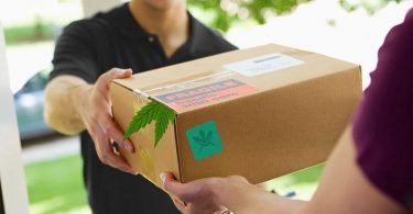 The amazing option of buying weed online for people who live in Canada