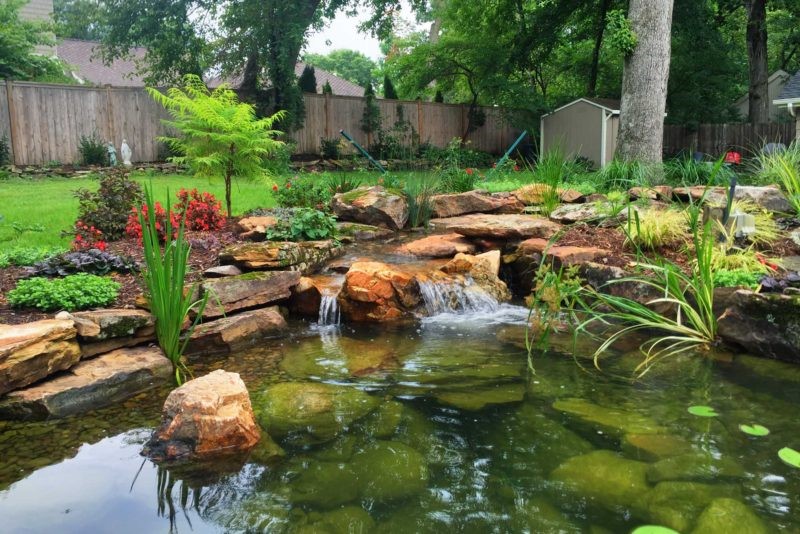 pond treatment companies