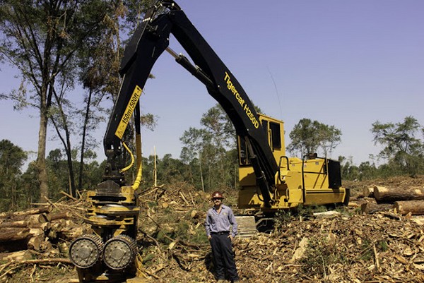 Logging Company In Illinois