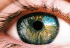 eye health
