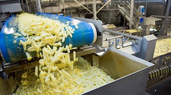 Potato Processing Business