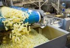 potato processing business plan