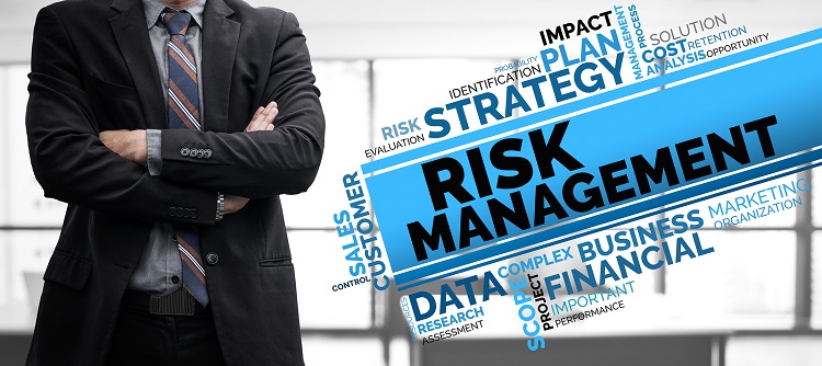 Risk management consultant jobs