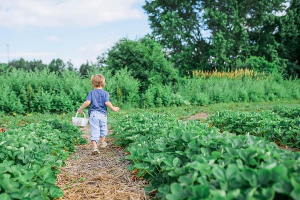 Producing Your Own Food