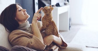 What You Need To Know Before Getting a Cat