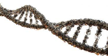 MTHFR Gene Mutations