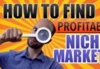 Finding a profitable market niches