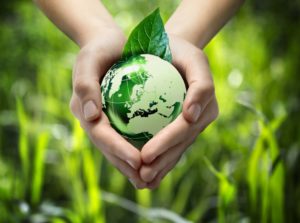 How To Lead A Green Lifestyle