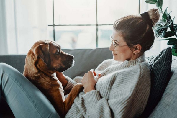 New Puppy Parenthood