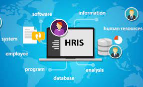 best HRIS software for your organization