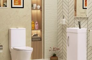 Rimless Toilet Close Coupled UK