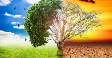 Environmental Change and The Impact on The Environment