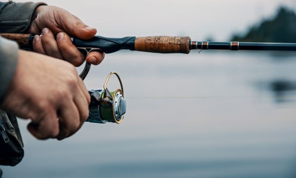 The Invasive Fish That You Shouldn’t Throw Back