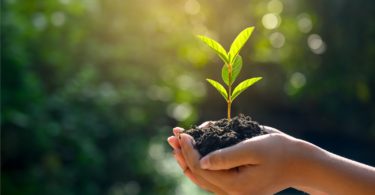 What Is Environmental Health