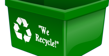 waste Recycling Services