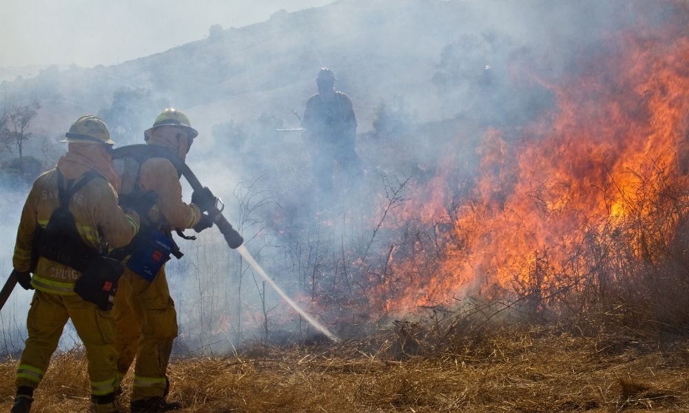 Wildland Firefighter Training: Become a Wildland Firefighter