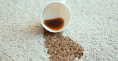 Top Carpet Stains To Be Aware of for Your Business