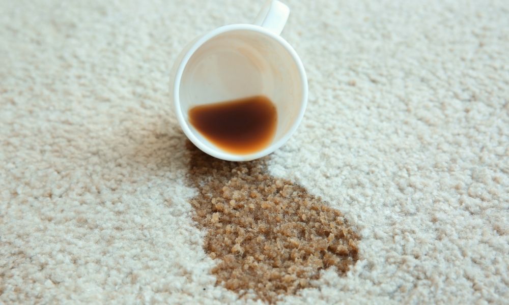 Top Carpet Stains To Be Aware of for Your Business