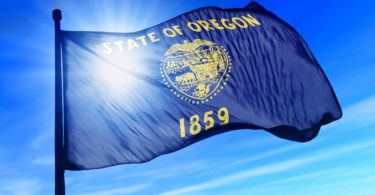 What Are the Most Popular US State Flags?