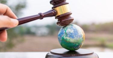 The Consequences of Breaching Environmental Laws