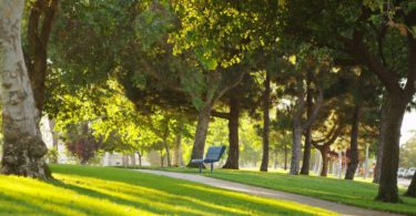 Tips for Improving a Parks and Recreation Center