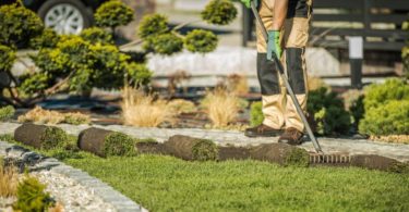 Landscaping services in frederick