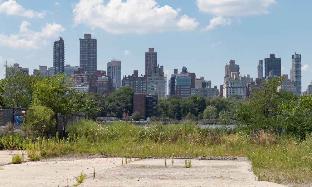 The Top Considerations for Buying a Vacant Lot