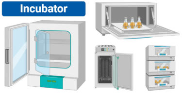 BOD incubator