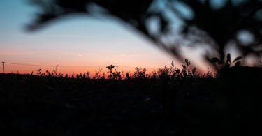 Things To Do in Minot North Dakota