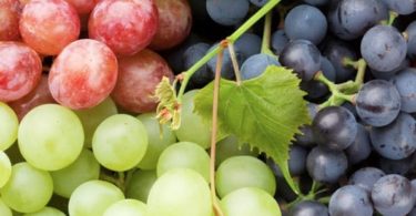 Amazing Benefits of Eating Grapes