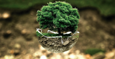 recruiting top talent