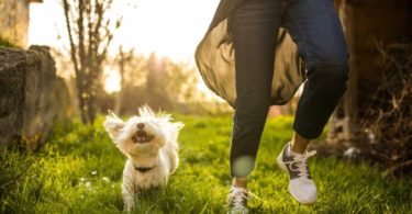 Tips to Help Your Dog Live a Long and Healthy life