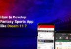 How to Develop Fantsy Sports App