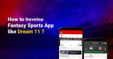 How to Develop Fantsy Sports App